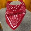 Justin Red Bandana