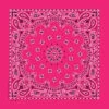 Hot Pink Paisley Bandanna